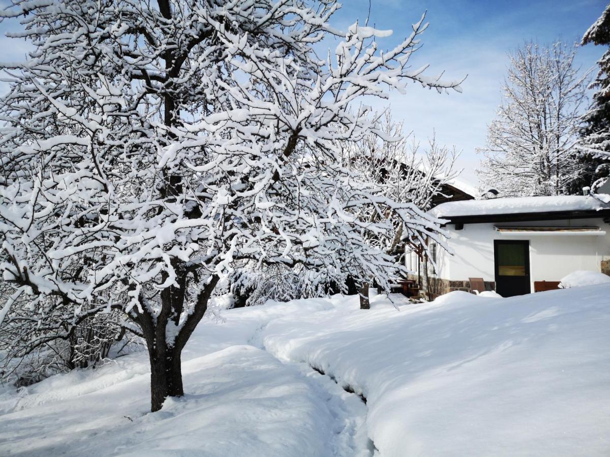 Appartchalet La Rondula Ortisei Zewnętrze zdjęcie